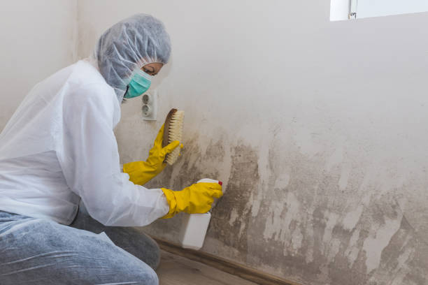 Crawl Space Mold Removal in Cavalier, ND