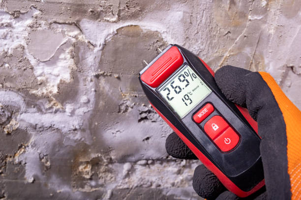 Best Emergency Mold Removal  in Cavalier, ND