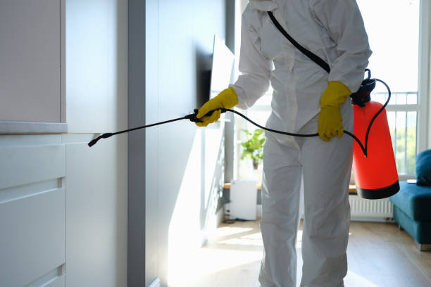 Best Professional Mold Removal  in Cavalier, ND