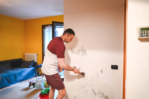 Best Mold Damage Repair  in Cavalier, ND